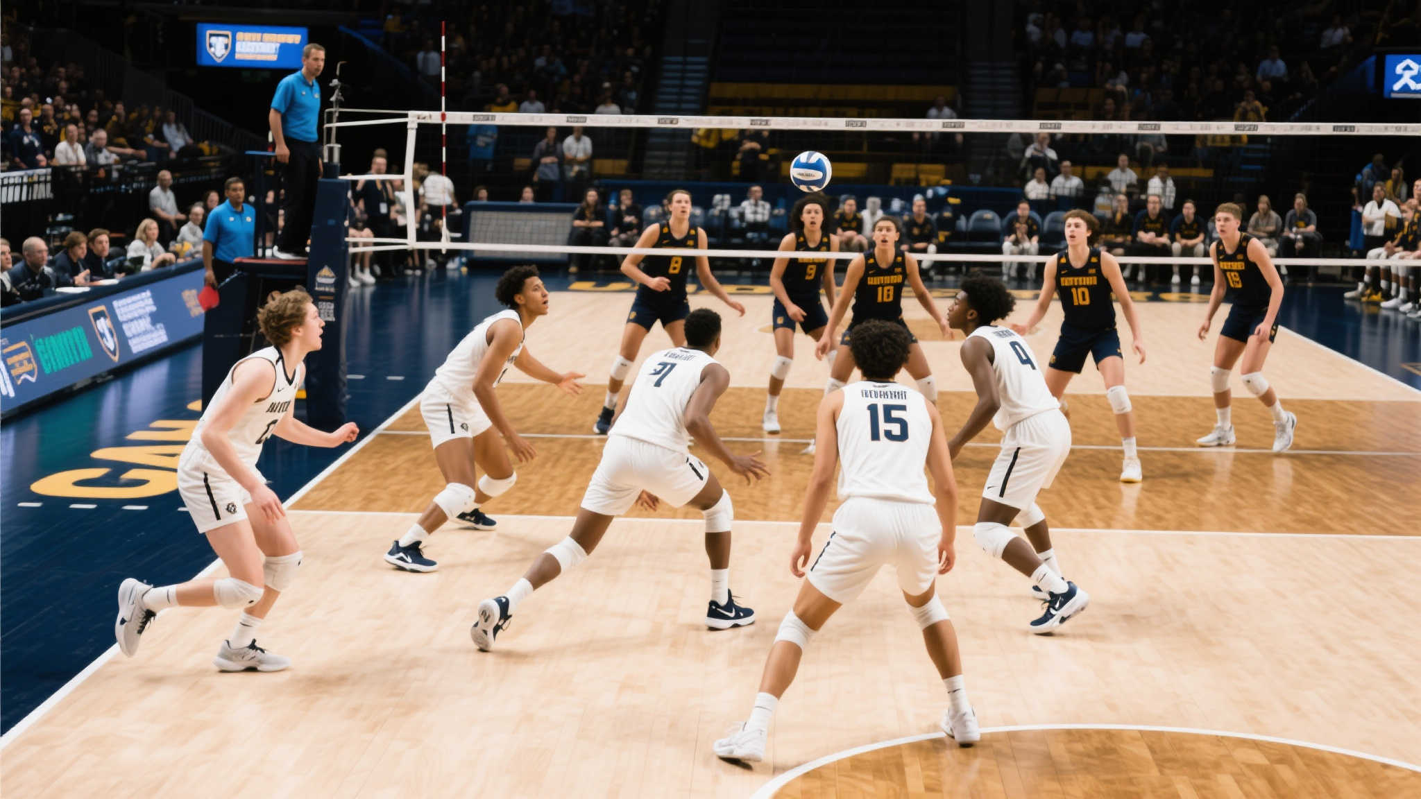 熊猫体育游戏中心